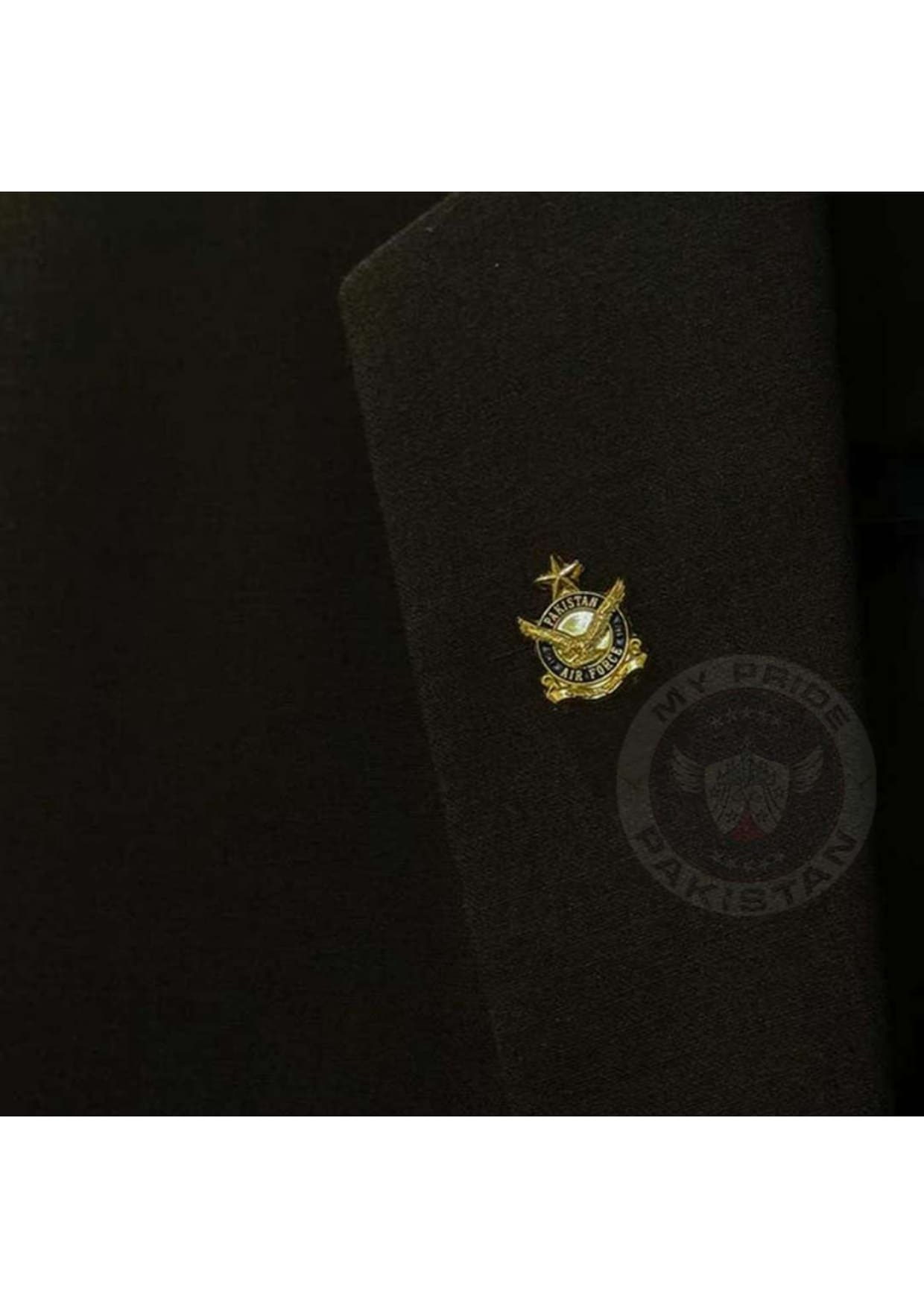 Pakistan Air Force Lapel Pin
