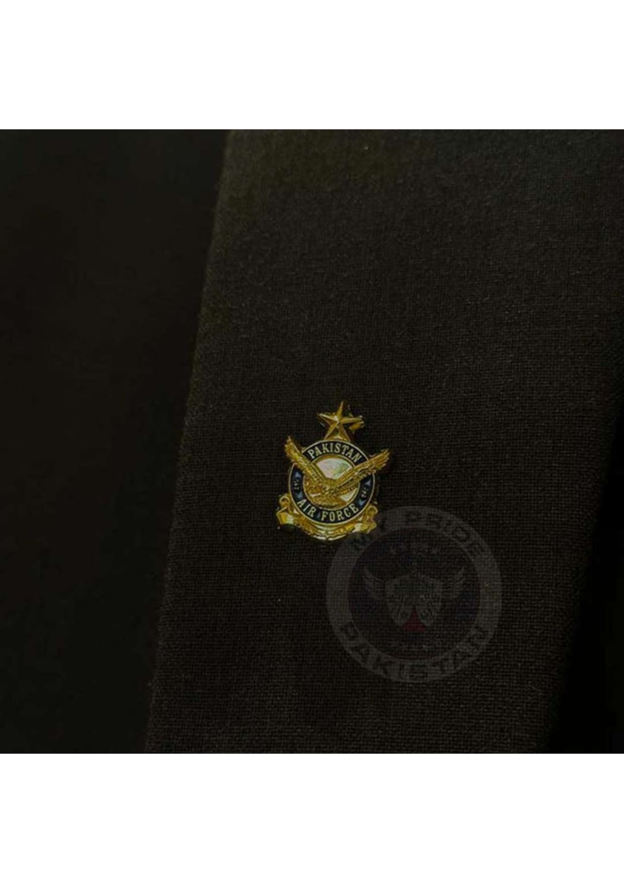 Pakistan Air Force Lapel Pin
