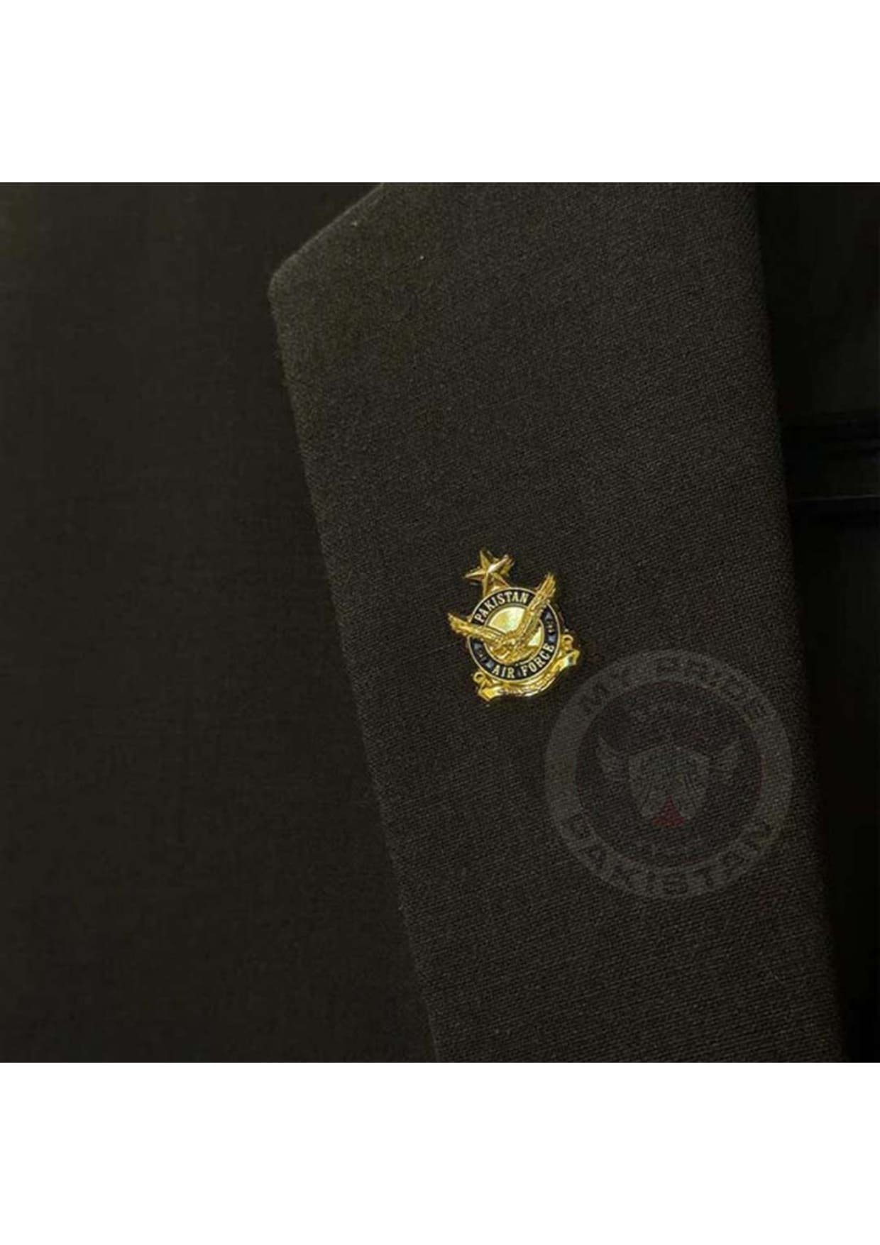 Pakistan Air Force Lapel Pin