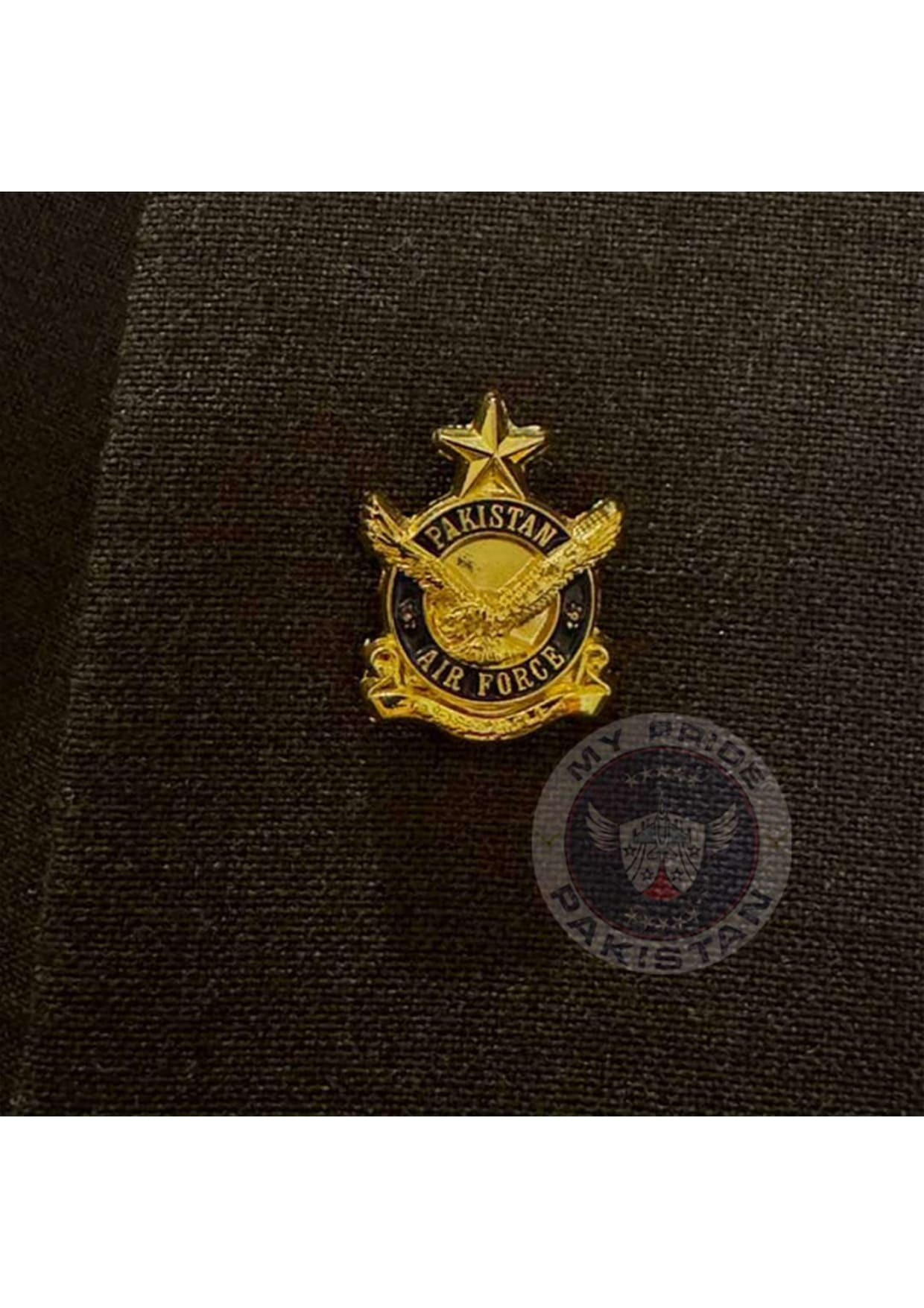 Pakistan Air Force Lapel Pin