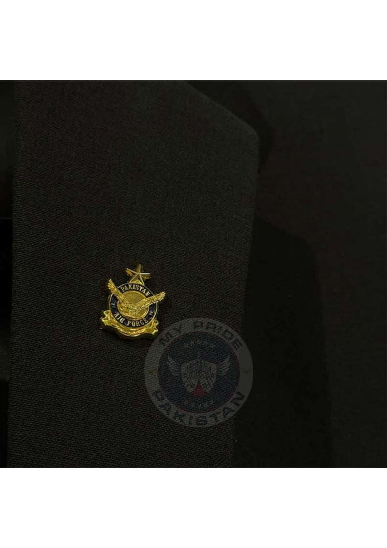 Pakistan Air Force Lapel Pin