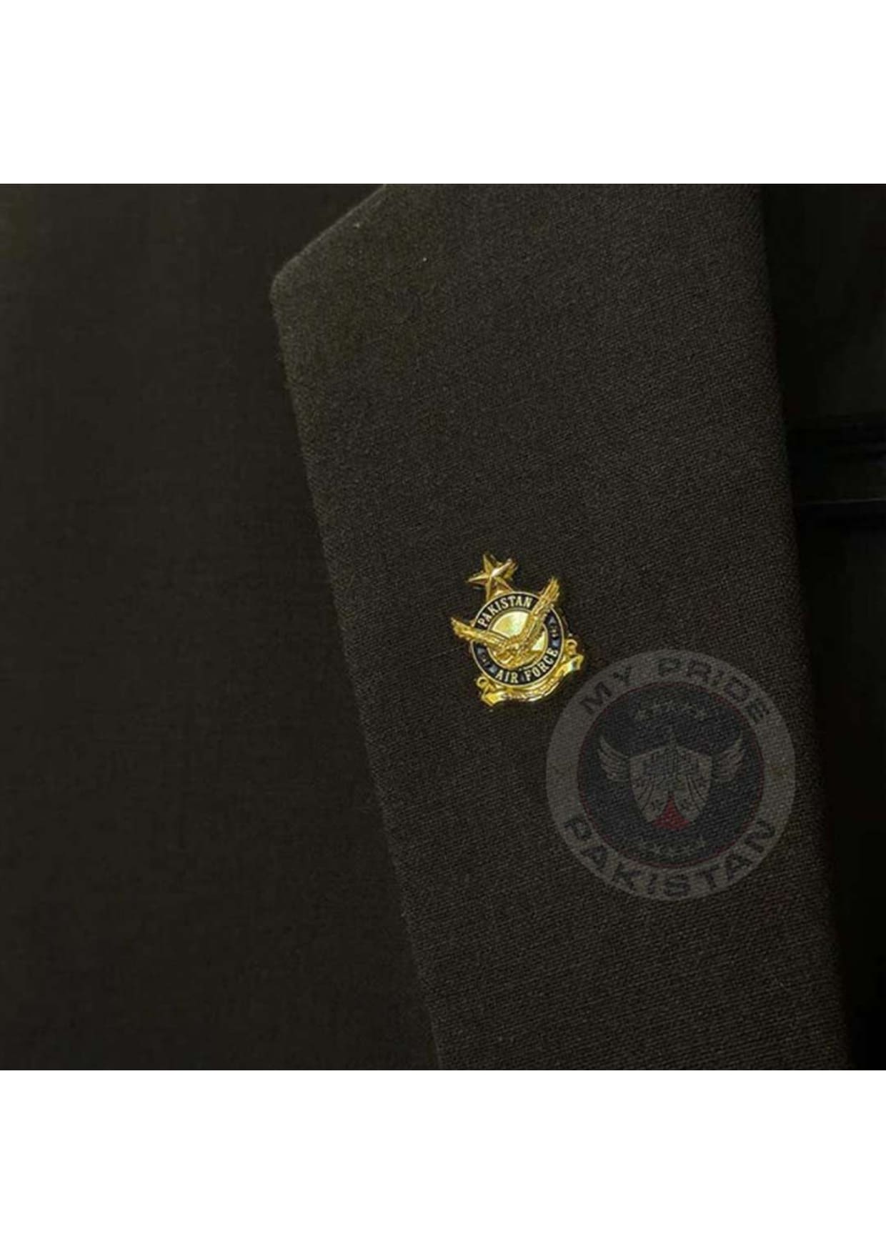 Pakistan Air Force Lapel Pin