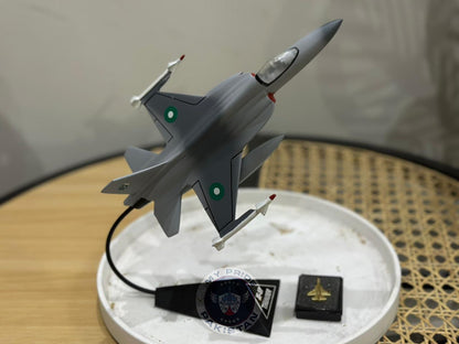 F-17 Grey Set – 9-Inch Jet Model & Collar Pin