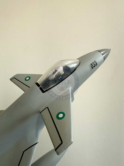 J - 10C Fighter Jet Model with Display Stand - My Pride