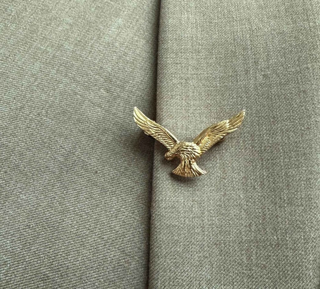 Pakistan Air Force Eagle Collar Pin - My Pride