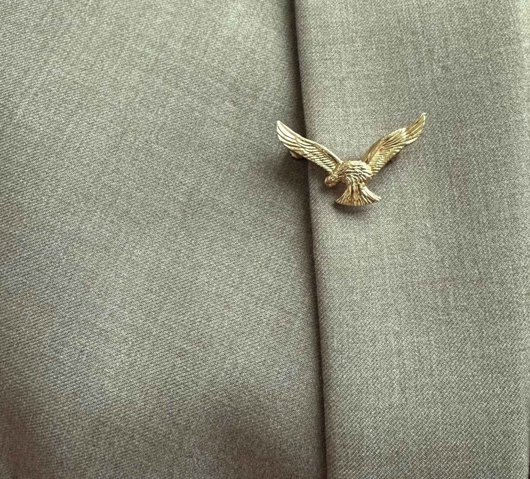 Pakistan Air Force Eagle Collar Pin - My Pride