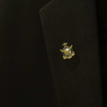 Pakistan Air Force Lapel Pin - My Pride