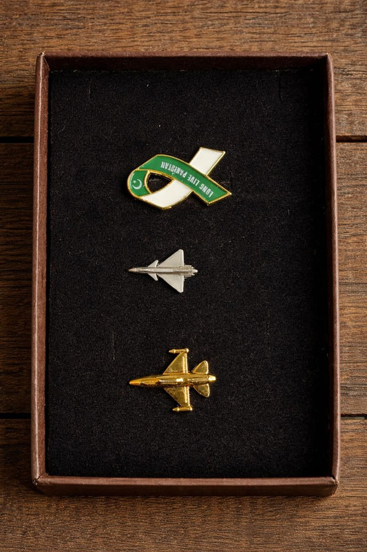 Wear Your Pride pin set of 3